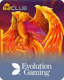 evolution 62club